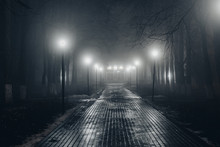 Street Lamps At Night In Winter Free Stock Photo - Public Domain Pictures