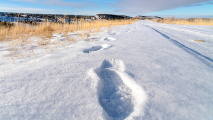 Canvas Print - Panorama Footprints on fresh white snow covering the road during cold winter season