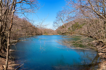 【青森県深浦町】十二湖青池入口付近から見る鶏頭場の池