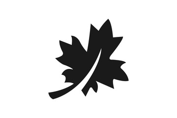 nature icon maple leaf design trendy illustration