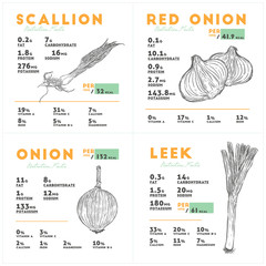 Sticker - Nutrition facts of Red and yello onion, scallion and leek. Hand draw sketch vector.