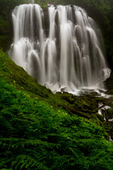 Canvas Print - waterfall in forest - oregon