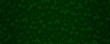 © gojalia - Green Patricks Day greeting banner with green clovers. Patrick's Day holiday design. Horizontal background, headers, posters, cards, website