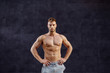 © dusanpetkovic1 - Handsome shirtless muscular caucasian man standing with hands on hips in front of dark background and looking at camera.