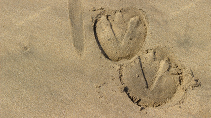 horses hoof prints in the sand