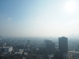 Fototapeta Zwierzęta - Cityscape of Bangkok covered by mixture of dust in air pollution, situation of air pollution 2.5 pm in Bangkok, Air pollution in big city,  it is unhealthy.