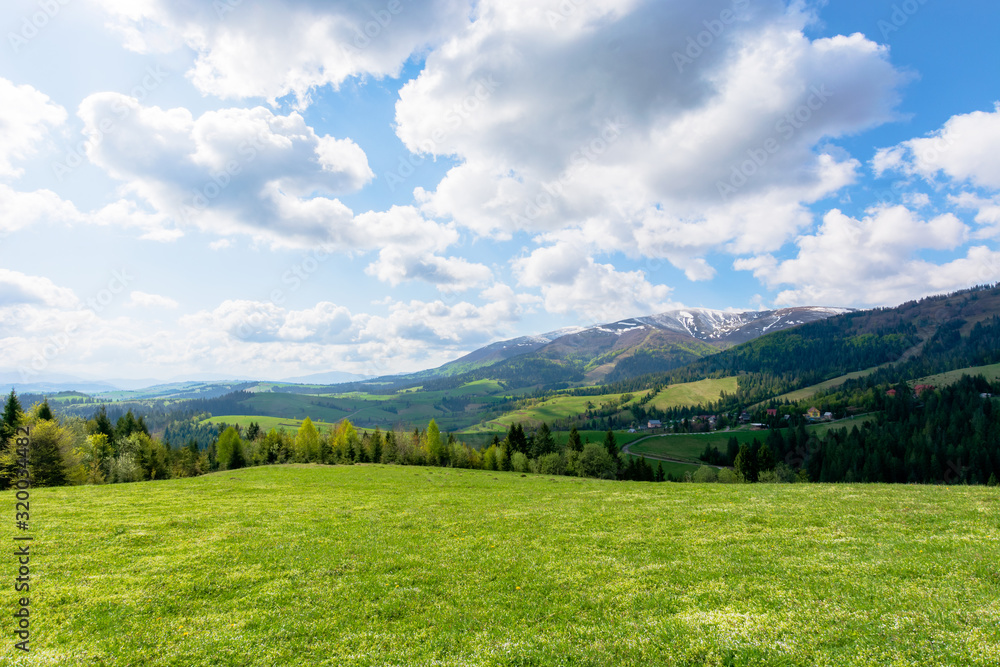 mountainous countryside landscape in spring. grassy meadow on top of a hill. mountain ridge with snow capped tops in the distance. sunny weather with clouds on the blue sky - obrazy, fototapety, plakaty 