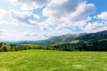 Wall Mural - mountainous countryside landscape in spring. grassy meadow on top of a hill. mountain ridge with snow capped tops in the distance. sunny weather with clouds on the blue sky