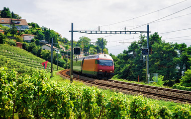 Poster - Running train and the railroad at Lavaux Vineyard Terrace hiking trail, Lavaux-Oron district, Switzerland