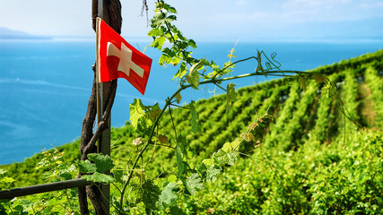 Wall Mural - Swiss flag at Vineyard Terraces hiking trail of Lavaux, Lake Geneva and Swiss mountains, Lavaux-Oron district of Switzerland