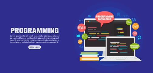 Wall Mural - programming languages banner, coding, flat illustration concept