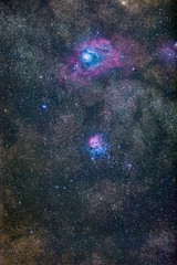 Wall Mural - the lagoon and trifid nebula an amazing place on the night sky in between the stars of the milky way