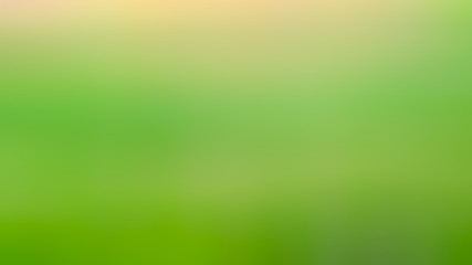 Poster - Abstract green color grandient blur background