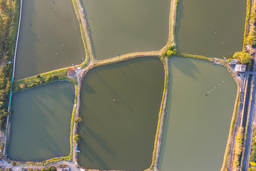 Poster - Aerial view fish ponds in Hong Kong border