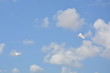 Low Angle View Of Toy Airplane Flying In Sky