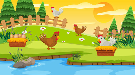 Poster - Background scene with chickens on the farm