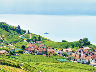 Wall Mural - Lavaux Vineyard Terrace hiking route and ship on Lake Geneva and Swiss mountains, Lavaux-Oron district in Swiss