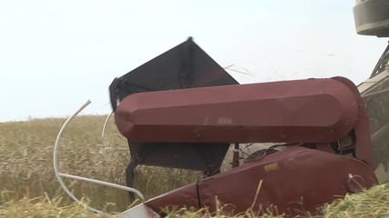 Wall Mural - Mower from a combine harvester in action on a field. Farm implements. Combine harvester with reaper harvests wheat and barley. Cleaning in the fields. 