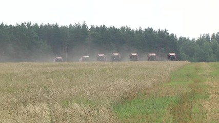 Wall Mural - Combine harvesters and tractors in the field for harvesting wheat. The work of the combine in the field of ripened wheat. Harvesting grain crops. Cropped shot, horizontal, free space, side view.