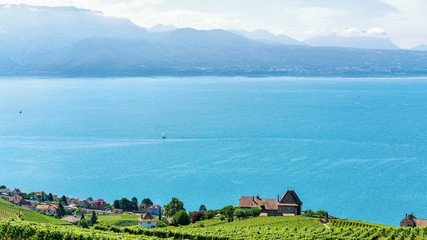 Wall Mural - Lavaux Vineyard Terrace at Lake Geneva and Swiss mountains, Lavaux-Oron district in Switzerland