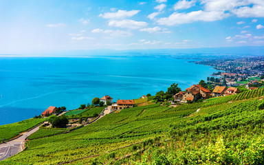 Wall Mural - Landscape of Lavaux Vineyard Terrace hiking trail, Lake Geneva and Swiss mountains, Lavaux-Oron district, Switzerland