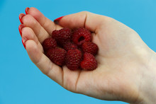 A Handful Of Ripe Raspberries In A Female Hand.