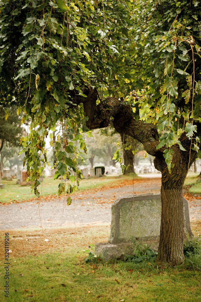 Fall graveyard Stock Photo | Adobe Stock