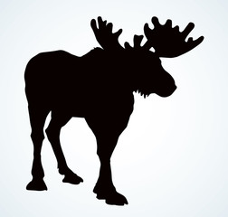 Poster - Big horned elk. Vector drawing