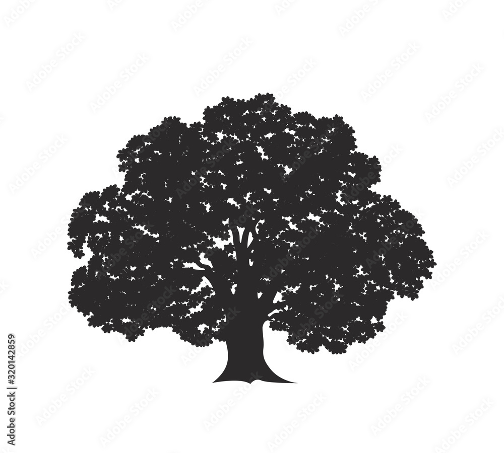 Oak tree logo. Isolated oak tree on white background - obrazy, fototapety, plakaty 