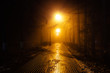 © Mulderphoto - Autumn city park at night in fog