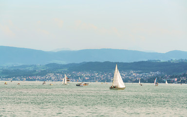 Canvas Print - Sailboats in Zurich Lake, Switzerland