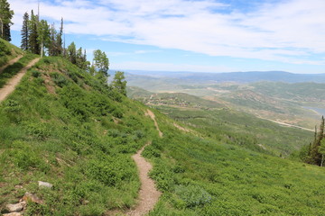 Poster - A hikers only trail at the Deer Valley resort near Park City, Utah