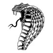 Illustration of cobra snake. Design element for poster, card, banner, flyer. Vector illustration