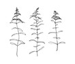 Hand drawn goldenrod wild plants with flowers collection. Outline herbs sketch ink painted. Black isolated botanical vector illustration on white background