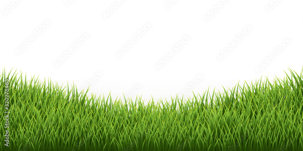 Green grass border set on white background. Vector Illustration Stock ...