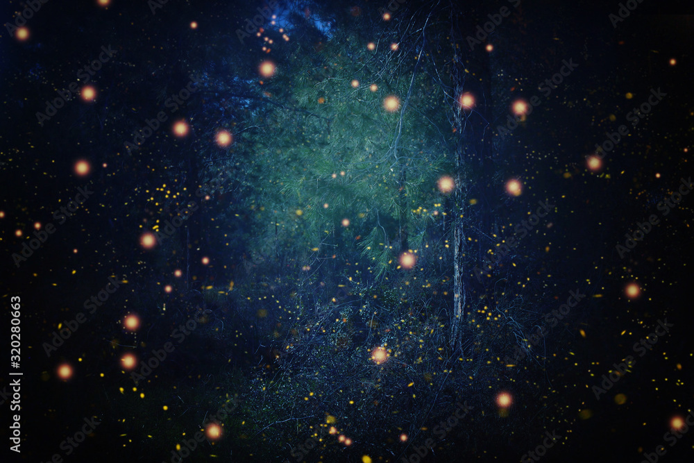 Abstract and magical image of Firefly flying in the night forest. Fairy tale concept - obrazy, fototapety, plakaty 