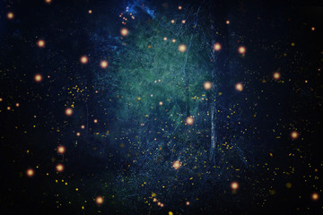abstract and magical image of firefly flying in the night forest. fairy tale concept