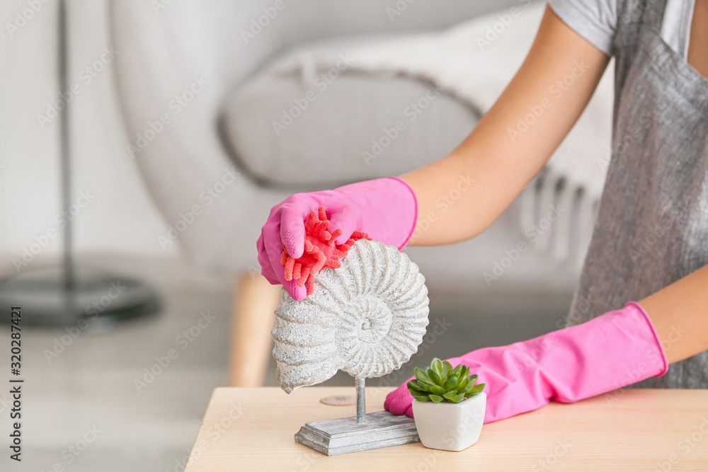 Young woman cleaning her flat