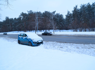 Wall Mural - Cars are different near the asphalt road near the winter forest.