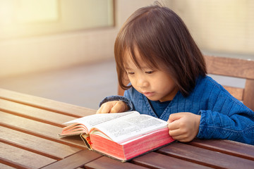 Little girl reading Chinese Bible outdoor under daylight