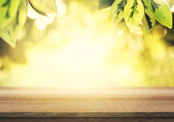 Wall Mural - Wooden table and blurred spring background. Spring concept with green nature outdoor.