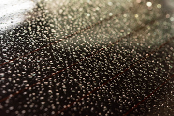 Drops of water on the floor, natural light, background image