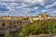 Mosque-Cathedral and the Roman Bridge in Cordoba, Andalusia, Spain