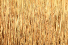 Close Up Of Thatch Roof Background, Hay Or Dry Grass Background, Thatched Roof, Grass Hay, Dry Straw, Roof Background Texture.
