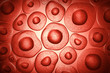 Leinwandbild Motiv 3d illustration of Embryonic stem cells under a microscope, Cellular therapy background.