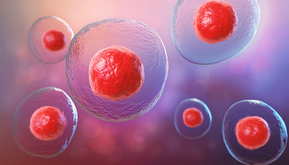Wall Mural - 3d illustration of embryonic stem cells, cellular therapy background.