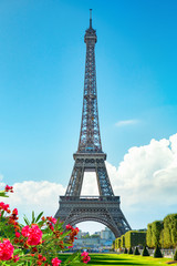 Wall Mural - spring in paris