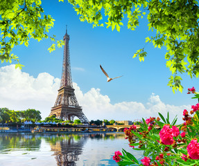 Fototapete - Eiffel tower and flowers