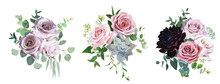 Dusty Pink And Mauve Antique Rose, Pale Flowers Vector Design Wedding Bouquets