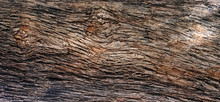 Part Of The Trunk Of An Old Olive Tree With Bark Covered With A Pattern Of Cracks